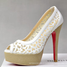 Новый стиль моды на высоком каблуке дамы обувь (H 66)